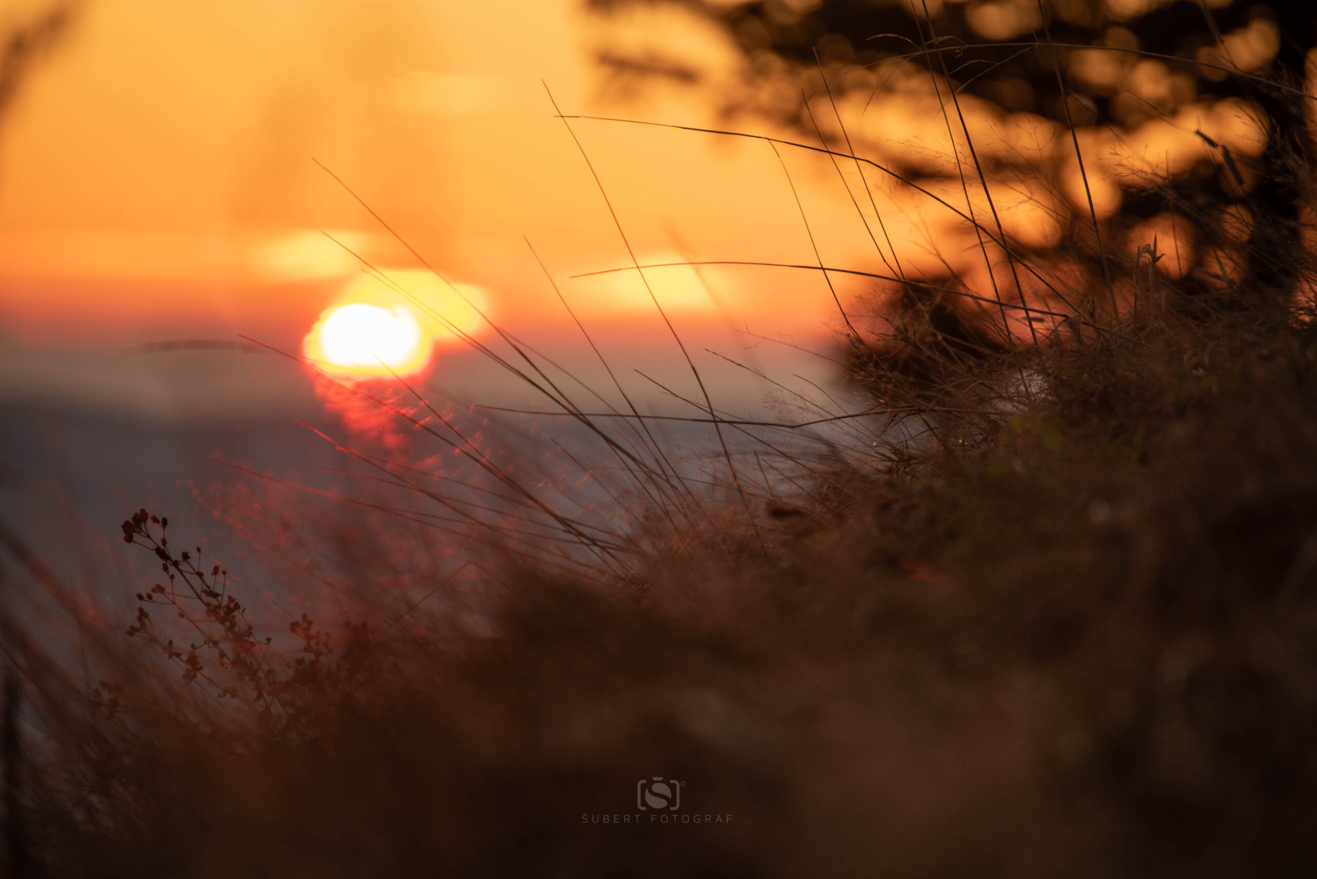 Západ od sousedů z Polska