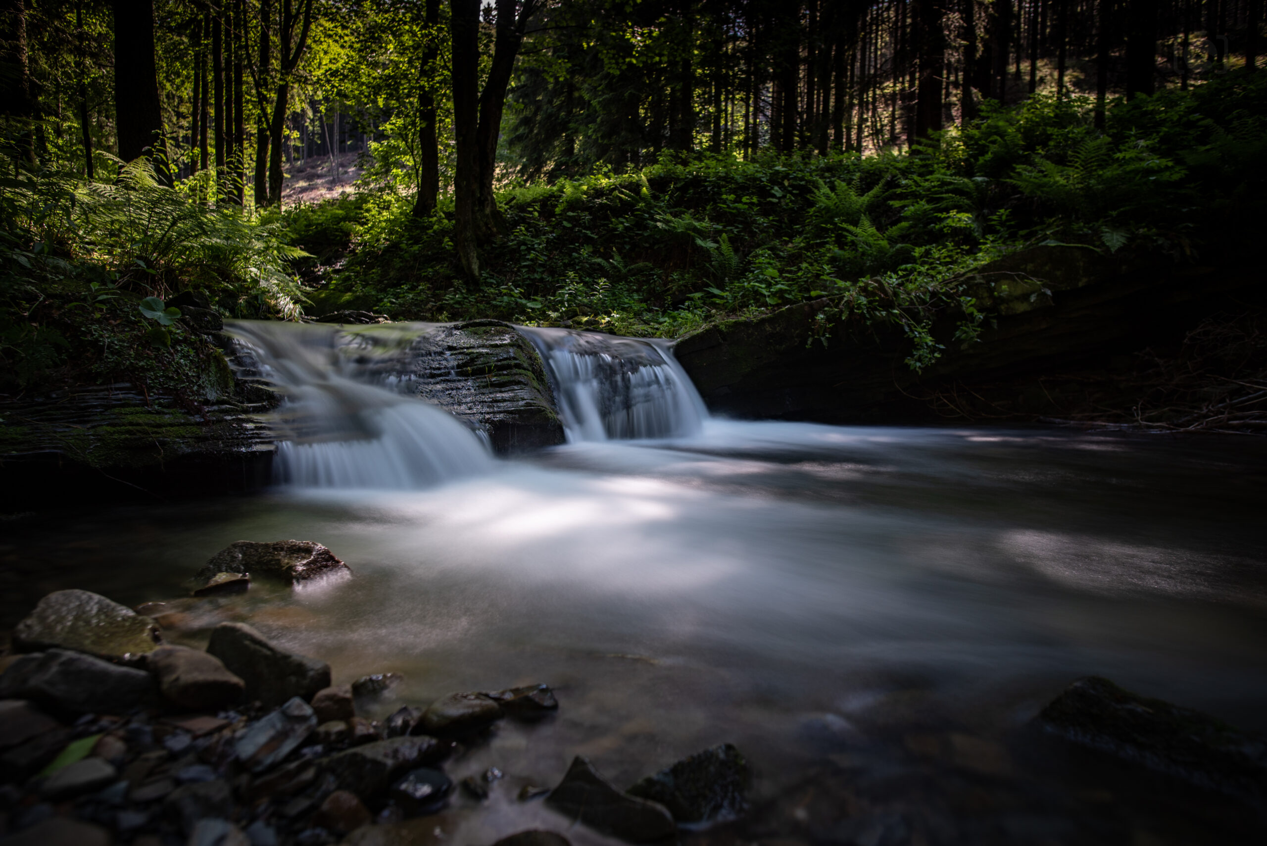 Šumění pod Pustevnami