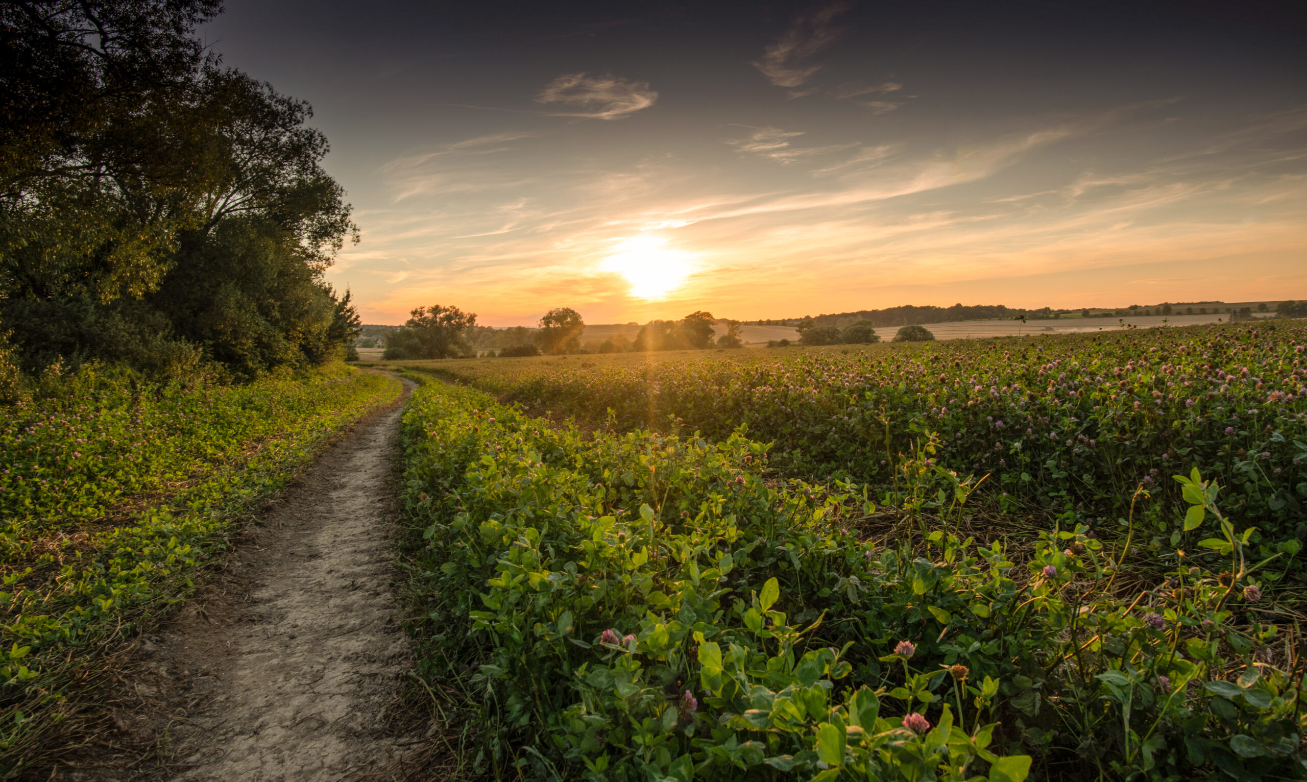 Letní pole v Pobeskydí