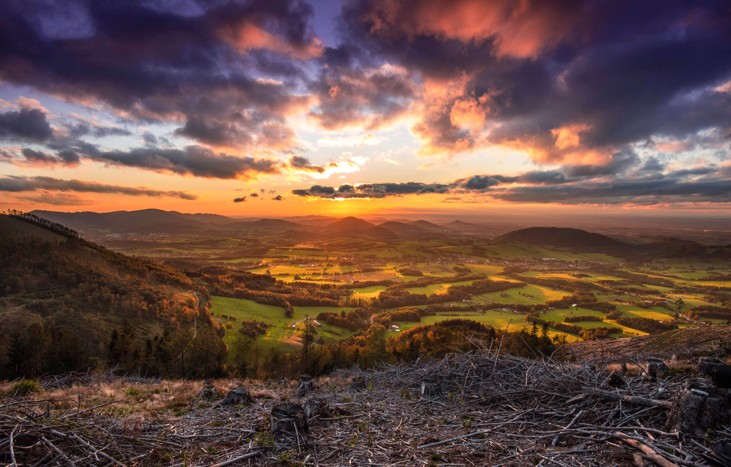 Barevná divočina z Ondřejníku