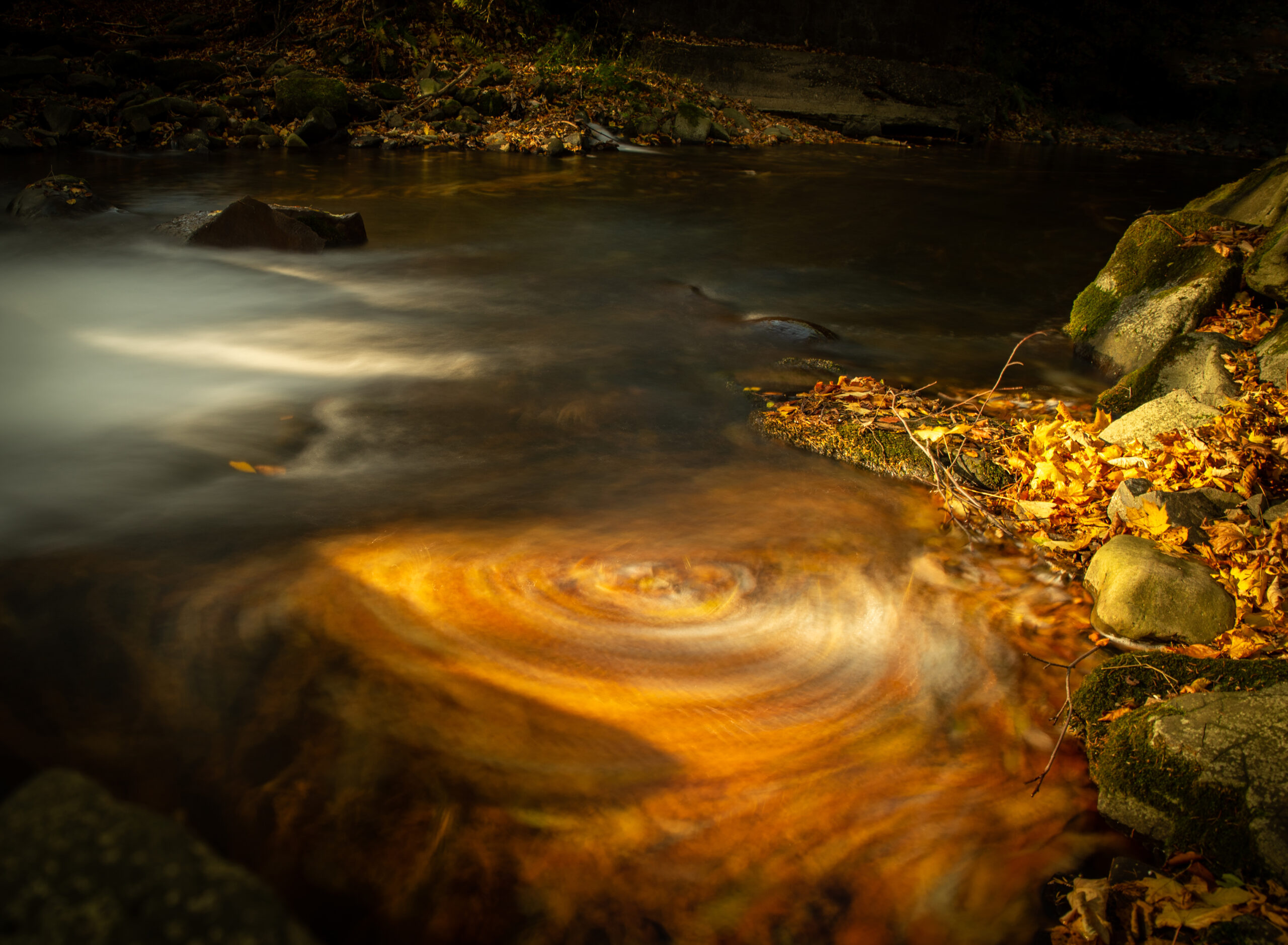 Vír lásky na Mohelnici