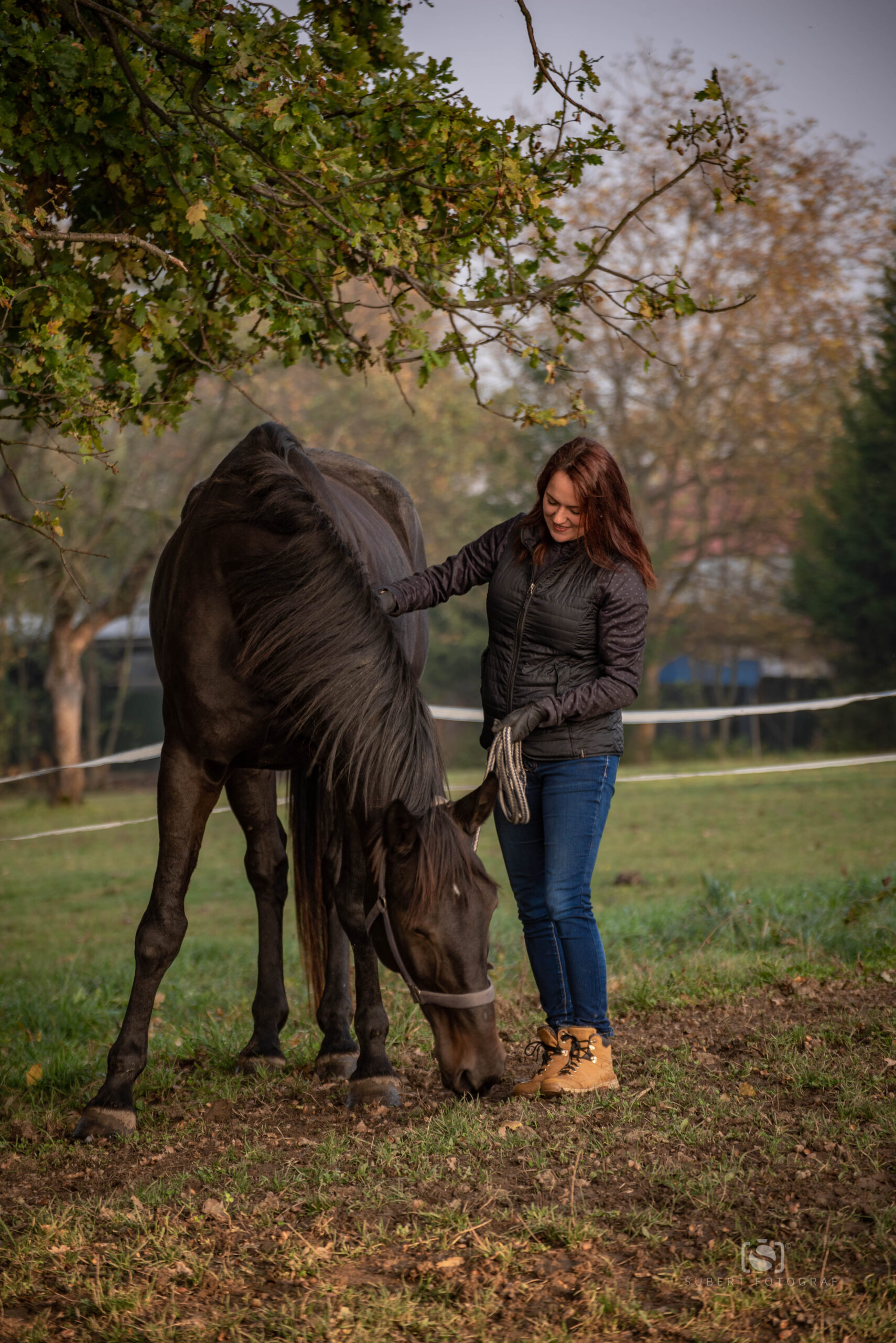 Z farmy u Lančových