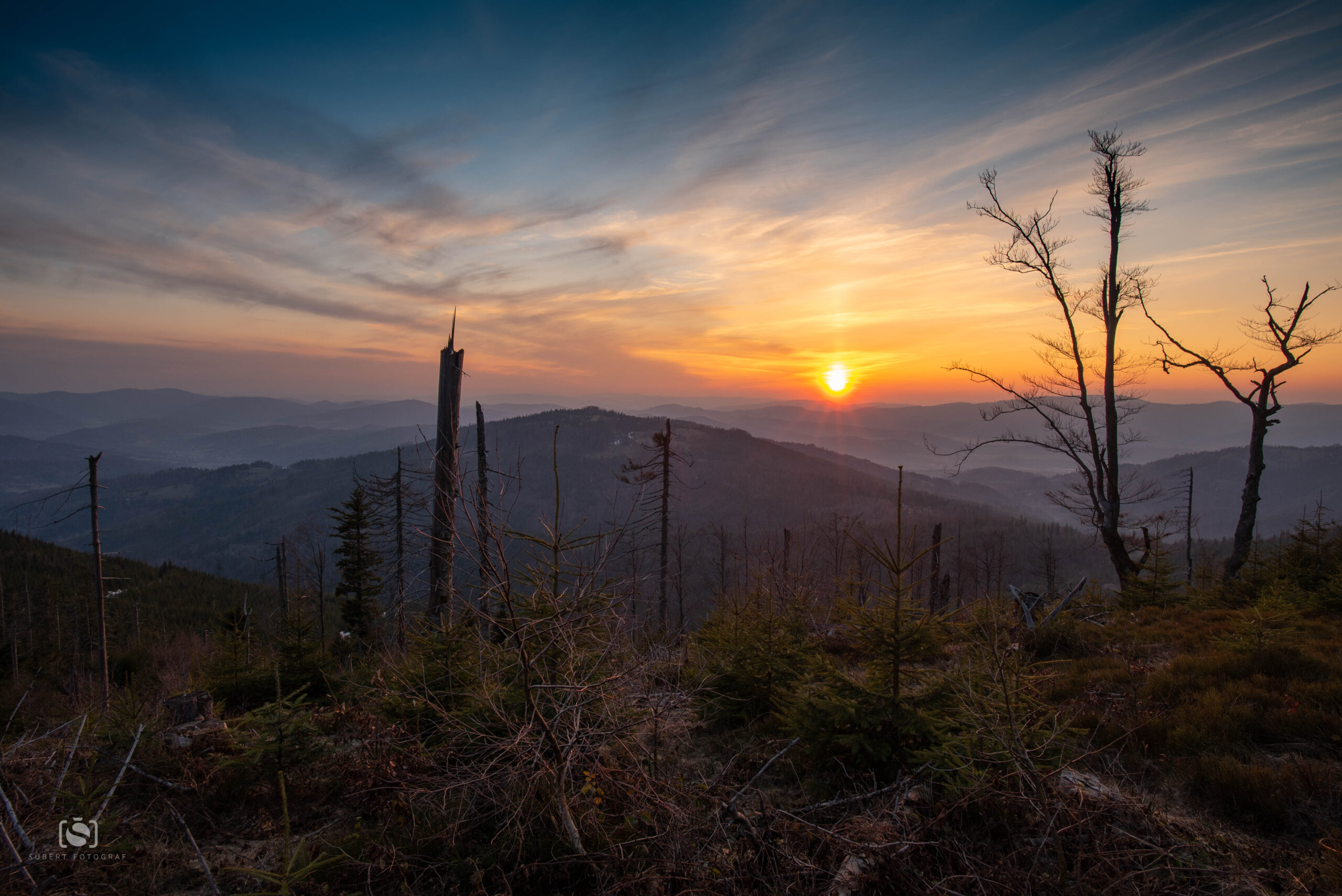 V houští při západu slunce