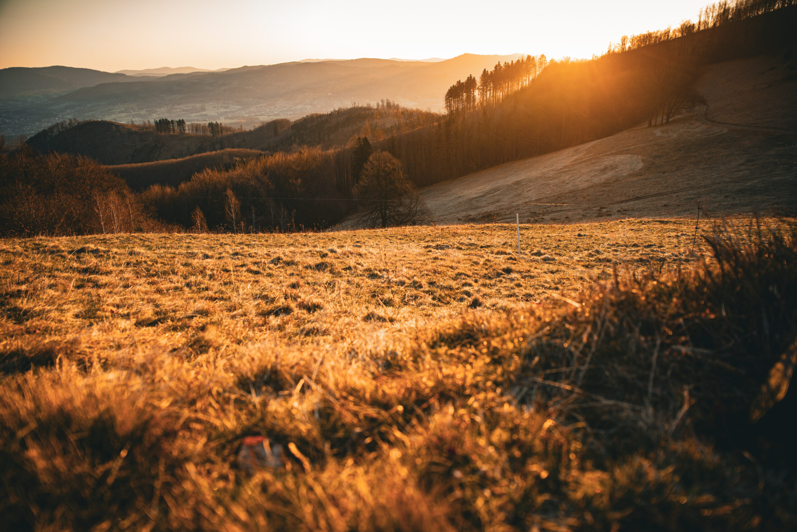 Zlatá hodinka v údolí 